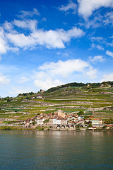 Lavaux region