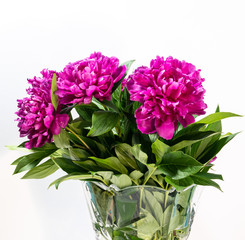 flowers peonies are on the table