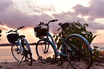Obraz premium Bicycles on the beach in sunset, Gili Meno Island, Lombok, Indonesia