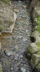 Stein