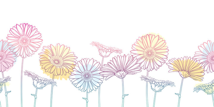 Horizontal seamless pattern with outline Gerbera or Gerber flower in pastel pink and orange on the white background.