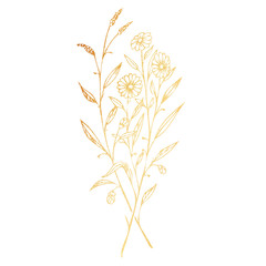 Golden branches of wild flowers hand drawn illustration isolated on white background