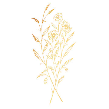 Golden branches of wild flowers hand drawn illustration isolated on white background