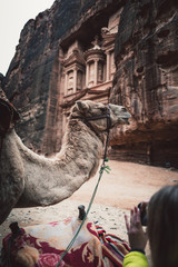 Unrecognizable woman taking picture of camel in front of ancient temple in rock face in Al Khazneh, Petra, Jordan