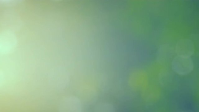 Defocused abstract nature background with green leaves and bokeh lights. Royalty high-quality free stock video footage of natural blurred bokeh background from leaf and tree effects bokeh bubble light