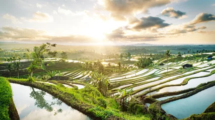 Crédence de cuisine en verre imprimé Bali Beau lever de soleil sur les rizières en terrasses de Jatiluwih à Bali, en Indonésie.
