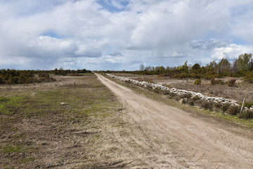 Dirt road in a great plain grassland