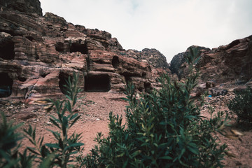 Caves in rocks in desert landscape of Petra, Jordan, Asia
