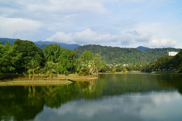lake in forest