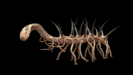 Hallucigenia, prehistoric aquatic animal from the Cambrian Period isolated on black background (3d paleoart illustration)