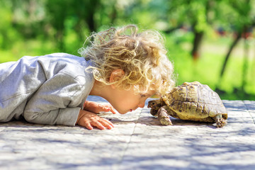 lovely boy with turtle - 269823725
