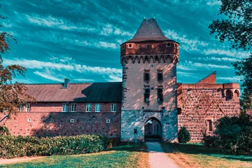 Foto auf Leinwand Medieval Towngate with Tower at old German town of Zons © A-D-F