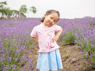 Little Chinese baby posing in beautiful purple lavender field, beautiful young girl with lovely braid, happy children lifestyle.