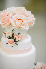 Big white wedding cake with fruit is on the table