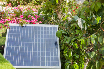 Solar panell in back or front house yard with trees and flowers warm sunny spring or summer day. Alternative electricity source concept
