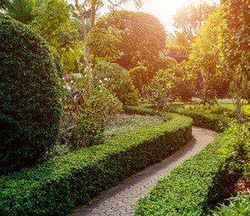 Luxury landscape design of the tropical garden. Beautiful view of tropical landscape