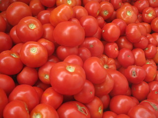 tomatoes