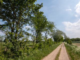 Feldweg im Frühling in Schleswig-Holstein