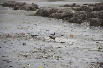  Garbage at sea