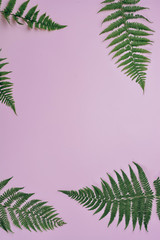 Fototapeta na wymiar Summer composition. Tropical fern leaves on pastel pink background. Summer concept. Flat lay, top view, copy space