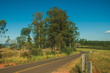 Countryside road on landscape covered by meadows and trees