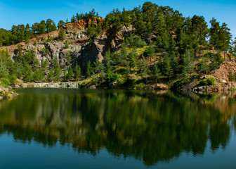 Fototapeta premium reflection of trees in water