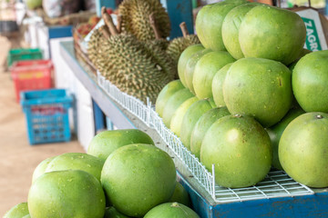 Shop grapefruit Tropical fruits of Thailand