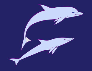 Fototapeta premium Two friendly dolphins. Vector cartoon cute marine animal illustration, isolated on blue background