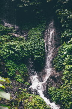 Gitgit waterfall at Bali, Indonesia