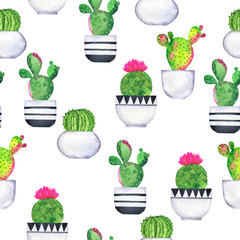 Seamless pattern with cactus plants in pots on white background. Hand drawn watercolor illustration.