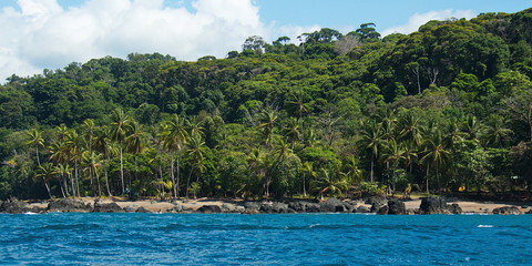 Fototapeta na wymiar Coast in Corcovado NP on peninsula Osa in Costa Rica