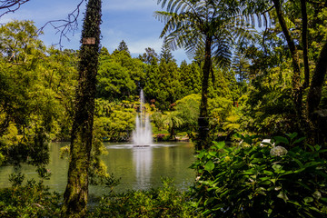 Queen Elizabeth II fountain shows off in the pond, Pukekura Park, New Plymouth, New Zealand