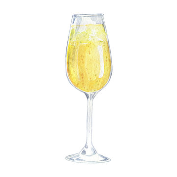 Glass of white sparkling wine isolated on white background. Hand drawn watercolor illustration. 