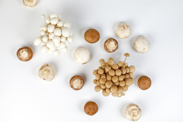 Mix white brown shimeji button mushroom top view on white background