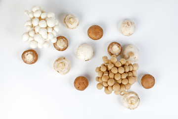 Mix white brown shimeji button mushroom top view on white background
