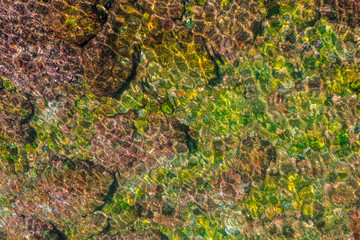 sea surface on stones and green algae