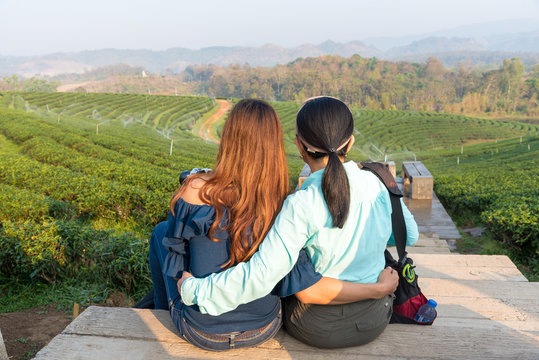 Young girl tourism watching the green tea plantations in the morning. Back view of women lesbian happy couple looking through natural scenery, tea fields. LGBT Lesbian couple together outdoors concept