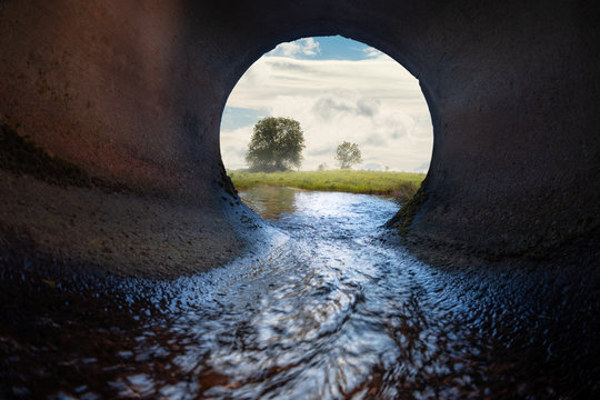 Sewer pipe. Inside view. Meadow and tree in the background.