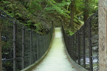 森の中のつり橋