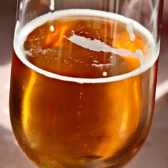 A close up shot of a cold beer (lager) inside a glass. Alcoholic drinks concept image. 