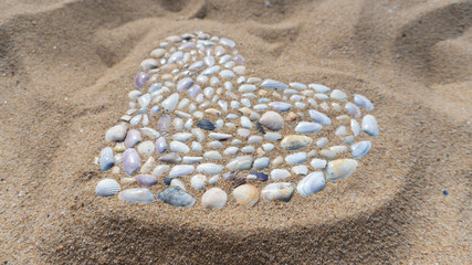 Bulgary beach and black sea