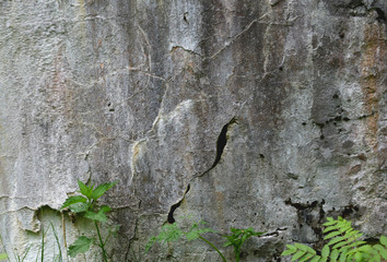 the background of the old plastered walls