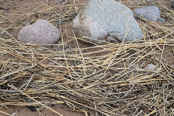 stones on the dry grass on the shore of the sea
