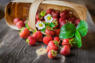 strawberry is scattered from a basket on a wooden background