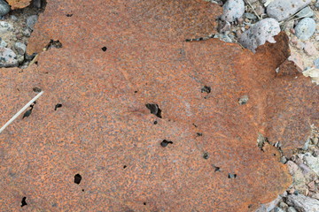 textutexture of rusty piece of sheet metalre of old wall