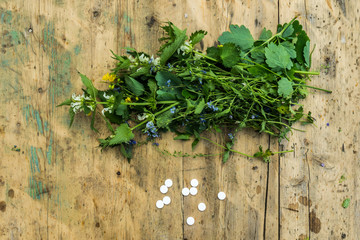 Herbal medicine, alternative medicine and homeopathy