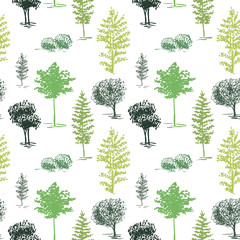 Fototapeta premium Trees sketch background. Hand painted green trees on the white background. Seamless wallpaper.