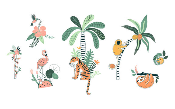 Wild nature hand drawn vector illustrations set. Exotic flora and fauna. Tiger, flamingo. Tropical animals and flowers. Cute monkey, sloth. Jungle animals poster, t shirt prints, design elements