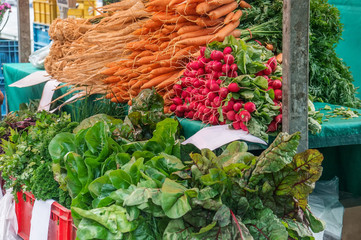 Fresh carrots, parsley and different types of lettuce are sold at the farmer's market on an autumn day in blue plastic boxes with other vegetables.