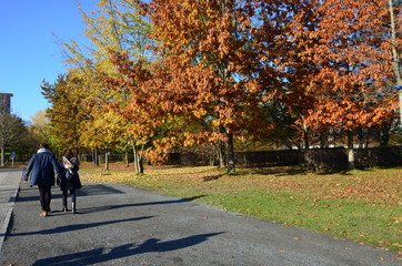 The Park of Tiergarten, Berlin